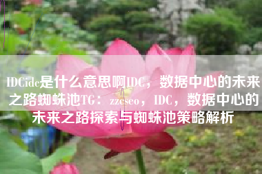 IDCidc是什么意思啊IDC，数据中心的未来之路蜘蛛池TG：zzcseo，IDC，数据中心的未来之路探索与蜘蛛池策略解析