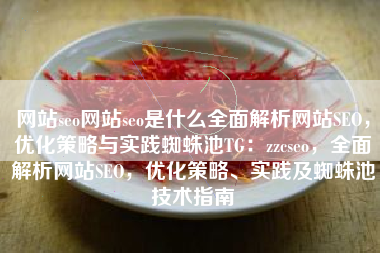 网站seo网站seo是什么全面解析网站SEO，优化策略与实践蜘蛛池TG：zzcseo，全面解析网站SEO，优化策略、实践及蜘蛛池技术指南