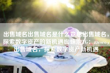 出售域名出售域名是什么意思出售域名，探索数字资产的新机遇蜘蛛池TG：zzcseo，出售域名，探索数字资产新机遇