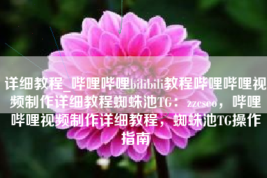 详细教程_哔哩哔哩bilibili教程哔哩哔哩视频制作详细教程蜘蛛池TG：zzcseo，哔哩哔哩视频制作详细教程，蜘蛛池TG操作指南
