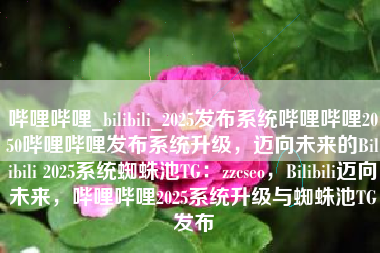哔哩哔哩_bilibili_2025发布系统哔哩哔哩2050哔哩哔哩发布系统升级，迈向未来的Bilibili 2025系统蜘蛛池TG：zzcseo，Bilibili迈向未来，哔哩哔哩2025系统升级与蜘蛛池TG发布