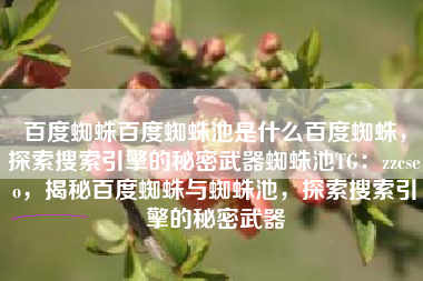 百度蜘蛛百度蜘蛛池是什么百度蜘蛛，探索搜索引擎的秘密武器蜘蛛池TG：zzcseo，揭秘百度蜘蛛与蜘蛛池，探索搜索引擎的秘密武器