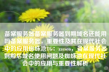 备案服务器备案服务器到期域名还能用吗备案服务器，重要性及其在现代社会中的应用蜘蛛池TG：zzcseo，备案服务器到期后域名使用问题及蜘蛛池在现代社会中的应用与重要性解析