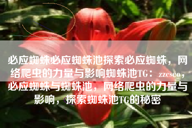 必应蜘蛛必应蜘蛛池探索必应蜘蛛，网络爬虫的力量与影响蜘蛛池TG：zzcseo，必应蜘蛛与蜘蛛池，网络爬虫的力量与影响，探索蜘蛛池TG的秘密