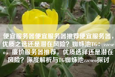 便宜服务器便宜服务器推荐便宜服务器，优质之选还是潜在风险？蜘蛛池TG：zzcseo，廉价服务器推荐，优质选择还是潜在风险？深度解析与TG蜘蛛池zzcseo探讨