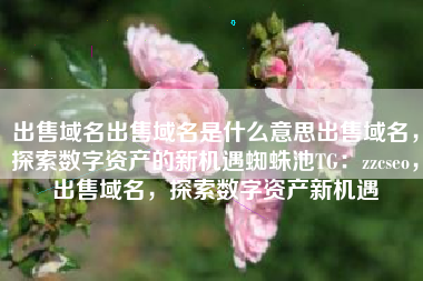 出售域名出售域名是什么意思出售域名，探索数字资产的新机遇蜘蛛池TG：zzcseo，出售域名，探索数字资产新机遇