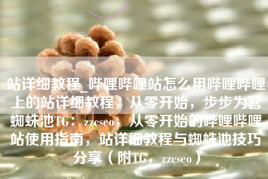 站详细教程_哔哩哔哩站怎么用哔哩哔哩上的站详细教程，从零开始，步步为营蜘蛛池TG：zzcseo，从零开始的哔哩哔哩站使用指南，站详细教程与蜘蛛池技巧分享（附TG，zzcseo）