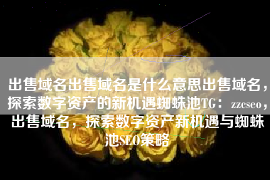 出售域名出售域名是什么意思出售域名，探索数字资产的新机遇蜘蛛池TG：zzcseo，出售域名，探索数字资产新机遇与蜘蛛池SEO策略