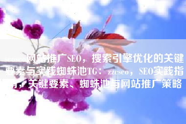 seoseo网站推广SEO，搜索引擎优化的关键要素与实践蜘蛛池TG：zzcseo，SEO实践指南，关键要素、蜘蛛池与网站推广策略