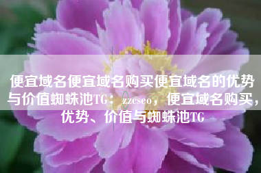便宜域名便宜域名购买便宜域名的优势与价值蜘蛛池TG：zzcseo，便宜域名购买，优势、价值与蜘蛛池TG
