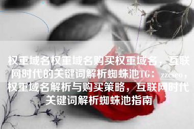 权重域名权重域名购买权重域名，互联网时代的关键词解析蜘蛛池TG：zzcseo，权重域名解析与购买策略，互联网时代关键词解析蜘蛛池指南