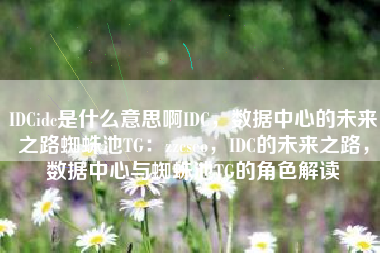 IDCidc是什么意思啊IDC，数据中心的未来之路蜘蛛池TG：zzcseo，IDC的未来之路，数据中心与蜘蛛池TG的角色解读