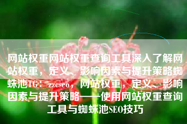 网站权重网站权重查询工具深入了解网站权重，定义、影响因素与提升策略蜘蛛池TG：zzcseo，网站权重，定义、影响因素与提升策略——使用网站权重查询工具与蜘蛛池SEO技巧