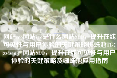 网站seo网站seo是什么网站SEO，提升在线可见性与用户体验的关键策略蜘蛛池TG：zzcseo，网站SEO，提升在线可见性与用户体验的关键策略及蜘蛛池应用指南