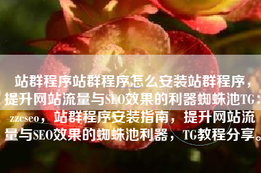 站群程序站群程序怎么安装站群程序，提升网站流量与SEO效果的利器蜘蛛池TG：zzcseo，站群程序安装指南，提升网站流量与SEO效果的蜘蛛池利器，TG教程分享。