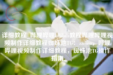 详细教程_哔哩哔哩bilibili教程哔哩哔哩视频制作详细教程蜘蛛池TG：zzcseo，哔哩哔哩视频制作详细教程，蜘蛛池TG操作指南