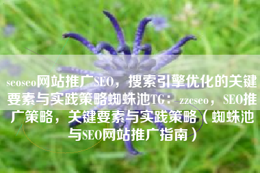 seoseo网站推广SEO，搜索引擎优化的关键要素与实践策略蜘蛛池TG：zzcseo，SEO推广策略，关键要素与实践策略（蜘蛛池与SEO网站推广指南）