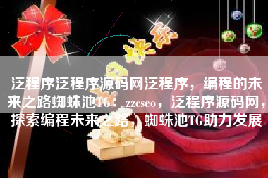 泛程序泛程序源码网泛程序，编程的未来之路蜘蛛池TG：zzcseo，泛程序源码网，探索编程未来之路，蜘蛛池TG助力发展