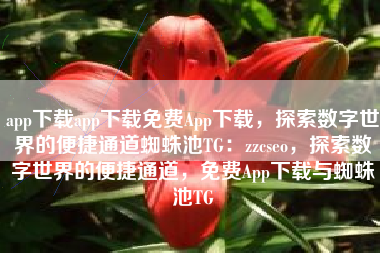 app下载app下载免费App下载，探索数字世界的便捷通道蜘蛛池TG：zzcseo，探索数字世界的便捷通道，免费App下载与蜘蛛池TG