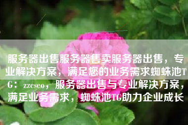 服务器出售服务器售卖服务器出售，专业解决方案，满足您的业务需求蜘蛛池TG：zzcseo，服务器出售与专业解决方案，满足业务需求，蜘蛛池TG助力企业成长