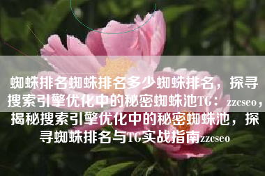 蜘蛛排名蜘蛛排名多少蜘蛛排名，探寻搜索引擎优化中的秘密蜘蛛池TG：zzcseo，揭秘搜索引擎优化中的秘密蜘蛛池，探寻蜘蛛排名与TG实战指南zzcseo