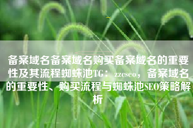 备案域名备案域名购买备案域名的重要性及其流程蜘蛛池TG：zzcseo，备案域名的重要性、购买流程与蜘蛛池SEO策略解析