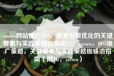 seoseo网站推广SEO，搜索引擎优化的关键要素与实践策略蜘蛛池TG：zzcseo，SEO推广策略，关键要素与实践策略蜘蛛池指南（附TG，zzcseo）
