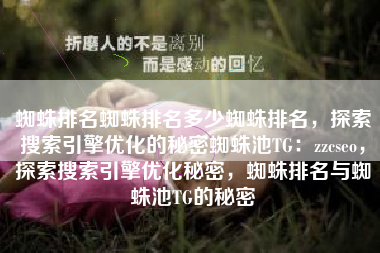 蜘蛛排名蜘蛛排名多少蜘蛛排名，探索搜索引擎优化的秘密蜘蛛池TG：zzcseo，探索搜索引擎优化秘密，蜘蛛排名与蜘蛛池TG的秘密