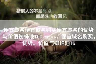 便宜域名便宜域名购买便宜域名的优势与价值蜘蛛池TG：zzcseo，便宜域名购买，优势、价值与蜘蛛池TG