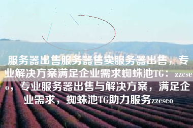 服务器出售服务器售卖服务器出售，专业解决方案满足企业需求蜘蛛池TG：zzcseo，专业服务器出售与解决方案，满足企业需求，蜘蛛池TG助力服务zzcseo