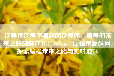 泛程序泛程序源码网泛程序，编程的未来之路蜘蛛池TG：zzcseo，泛程序源码网，探索编程未来之路与蜘蛛池TG
