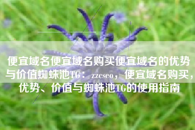 便宜域名便宜域名购买便宜域名的优势与价值蜘蛛池TG：zzcseo，便宜域名购买，优势、价值与蜘蛛池TG的使用指南