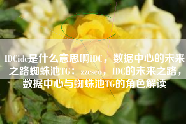 IDCidc是什么意思啊IDC，数据中心的未来之路蜘蛛池TG：zzcseo，IDC的未来之路，数据中心与蜘蛛池TG的角色解读