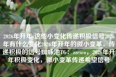 2026年开年 这些小变化传递积极信号2026年有什么变化2026年开年的微小变革，传递积极的信号蜘蛛池TG：zzcseo，2026年开年积极变化，微小变革传递希望信号