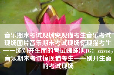 音乐期末考试现场突现猫考生音乐考试现场图片音乐期末考试现场惊现猫考生—一场别开生面的考试蜘蛛池TG：zzcseo，音乐期末考试惊现猫考生——别开生面的考试现场