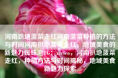 河南趴地菠菜走红河南菠菜种植的方法与时间河南扒地菠菜走红，地域美食的新魅力蜘蛛池TG：zzcseo，河南扒地菠菜走红，种植方法与时间揭秘，地域美食新魅力探索