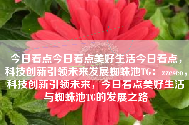 今日看点今日看点美好生活今日看点，科技创新引领未来发展蜘蛛池TG：zzcseo，科技创新引领未来，今日看点美好生活与蜘蛛池TG的发展之路