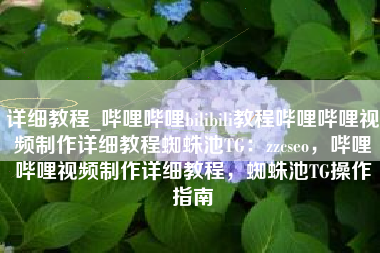 详细教程_哔哩哔哩bilibili教程哔哩哔哩视频制作详细教程蜘蛛池TG：zzcseo，哔哩哔哩视频制作详细教程，蜘蛛池TG操作指南