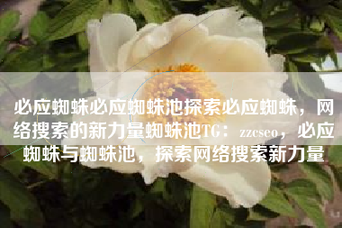 必应蜘蛛必应蜘蛛池探索必应蜘蛛，网络搜索的新力量蜘蛛池TG：zzcseo，必应蜘蛛与蜘蛛池，探索网络搜索新力量