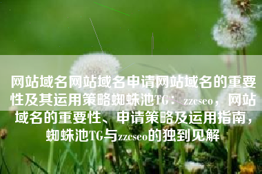 网站域名网站域名申请网站域名的重要性及其运用策略蜘蛛池TG：zzcseo，网站域名的重要性、申请策略及运用指南，蜘蛛池TG与zzcseo的独到见解
