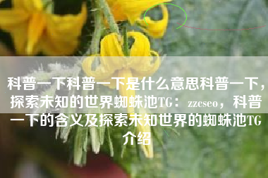 科普一下科普一下是什么意思科普一下，探索未知的世界蜘蛛池TG：zzcseo，科普一下的含义及探索未知世界的蜘蛛池TG介绍