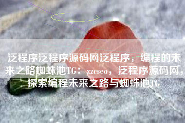 泛程序泛程序源码网泛程序，编程的未来之路蜘蛛池TG：zzcseo，泛程序源码网，探索编程未来之路与蜘蛛池TG
