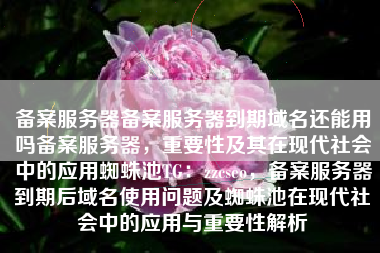 备案服务器备案服务器到期域名还能用吗备案服务器，重要性及其在现代社会中的应用蜘蛛池TG：zzcseo，备案服务器到期后域名使用问题及蜘蛛池在现代社会中的应用与重要性解析