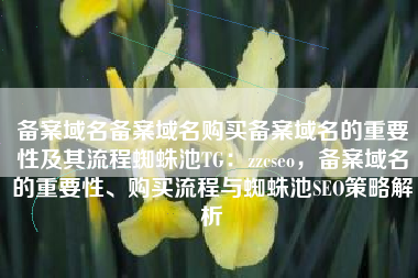 备案域名备案域名购买备案域名的重要性及其流程蜘蛛池TG：zzcseo，备案域名的重要性、购买流程与蜘蛛池SEO策略解析