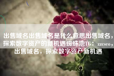 出售域名出售域名是什么意思出售域名，探索数字资产的新机遇蜘蛛池TG：zzcseo，出售域名，探索数字资产新机遇