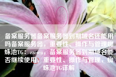 备案服务器备案服务器到期域名还能用吗备案服务器，重要性、操作与管理蜘蛛池TG：zzcseo，备案服务器到期域名能否继续使用，重要性、操作与管理，蜘蛛池TG详解