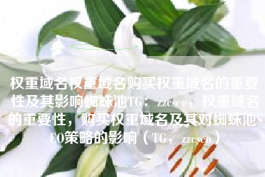 权重域名权重域名购买权重域名的重要性及其影响蜘蛛池TG：zzcseo，权重域名的重要性，购买权重域名及其对蜘蛛池SEO策略的影响（TG，zzcseo）