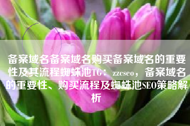 备案域名备案域名购买备案域名的重要性及其流程蜘蛛池TG：zzcseo，备案域名的重要性、购买流程及蜘蛛池SEO策略解析