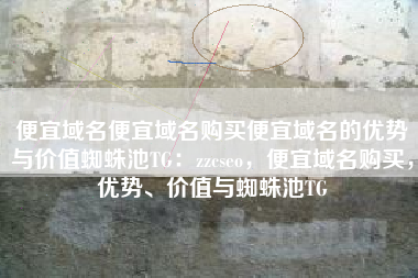 便宜域名便宜域名购买便宜域名的优势与价值蜘蛛池TG：zzcseo，便宜域名购买，优势、价值与蜘蛛池TG