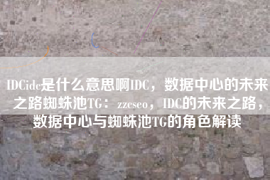 IDCidc是什么意思啊IDC，数据中心的未来之路蜘蛛池TG：zzcseo，IDC的未来之路，数据中心与蜘蛛池TG的角色解读
